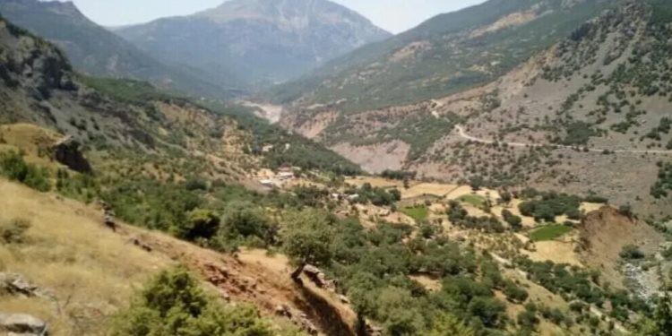 Bedlîs, Sêrt ile Elkê’de işgal operasyonu ve çatışma
