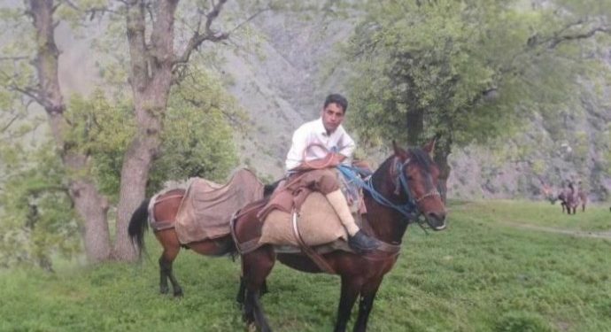 İran bir kolberi daha katletti