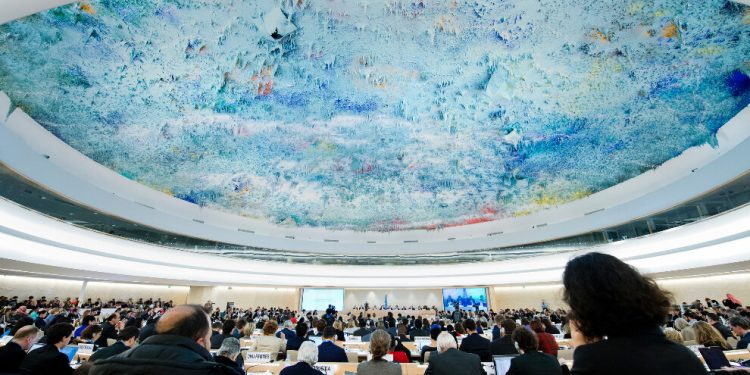 İmralı tecridi BM İnsan Hakları Konseyi’nde tartışılacak