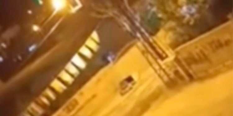 Jinên Tolhildêr’den Gever ve Wan’da işgalcilere eylem