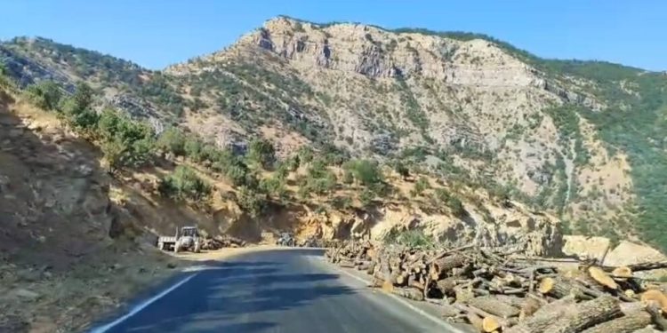 Şirnex’te kesilen ağaçlar sınır karakoluna taşınıyor