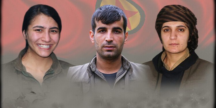 NUMAN AMED: MÜREKKEP KIŞTA DONAR