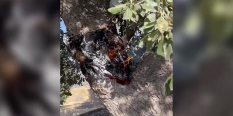 İşgalciler Güney Kurdistan’daki köyleri bombalamaya devam ediyor