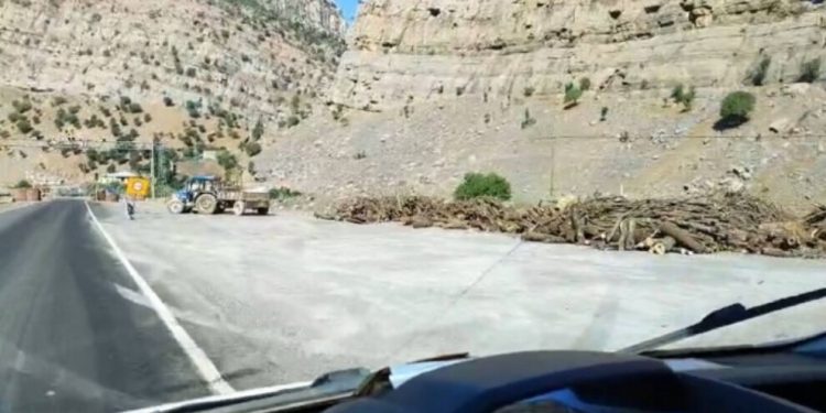 Faşist, soykırımcı Türk Devleti’nin doğa katliamı devam ediyor