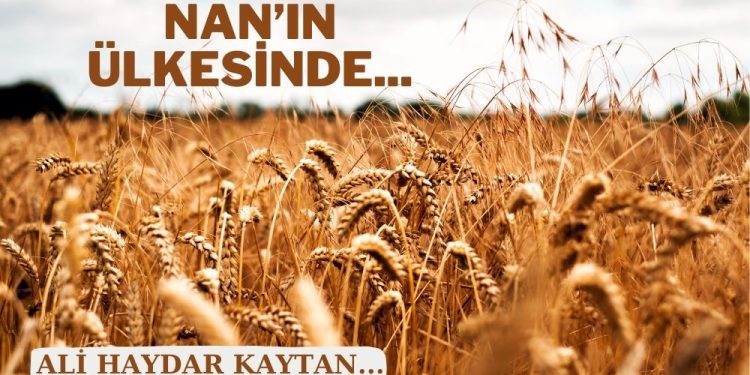 Nan’ın Ülkesinde…