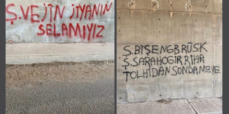 Genç Kadınlardan Ş.Vejîn, Ş.Bişeng ve Ş.Sara anısına yazılama