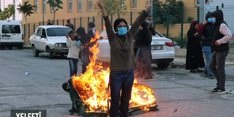 İRADE GASPINA KARŞI DİRENİŞ KARELERİ