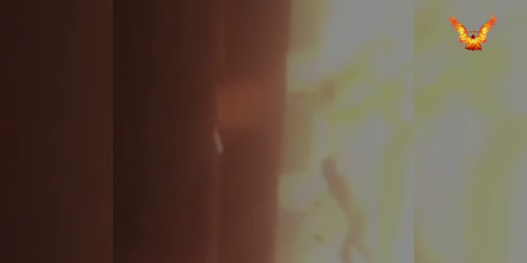 YCWK’den, Rojava’ya dönük işgal saldırılarına karşı bir eylem daha!