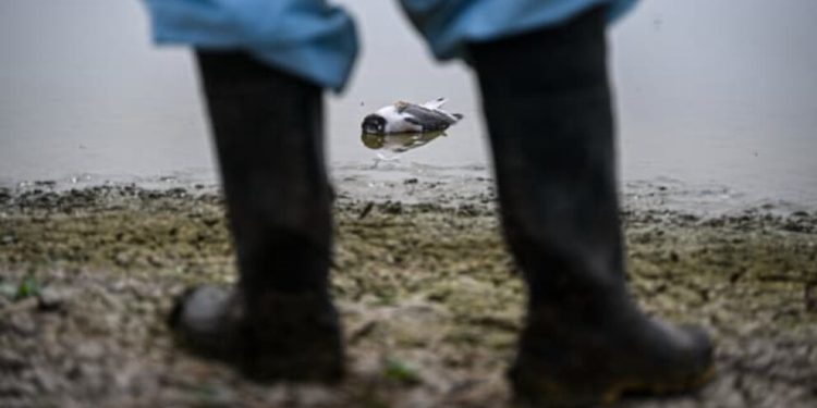 Haiti’de çocuklara yönelik cinsel şiddet yüzde bin arttı