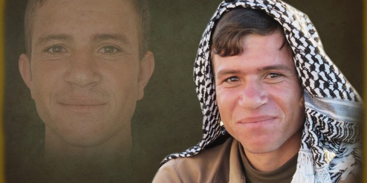 HPG, Fedakar Şengalî’yi saygıyla andı