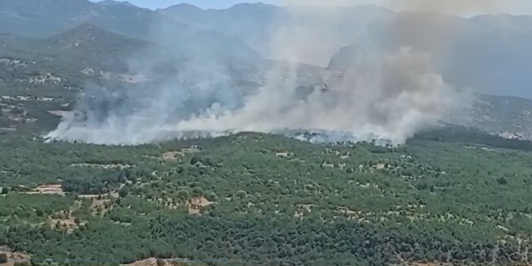 “Güçlerimiz ateşkes pozisyonunda olmasına rağmen işgalci Türk ordusunun havadan ve karada saldırıları devam etmektedir”