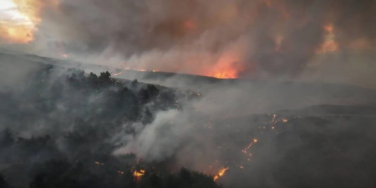 KJK: Bunun adı ekokırımdır, ekolojik mücadele büyümeli