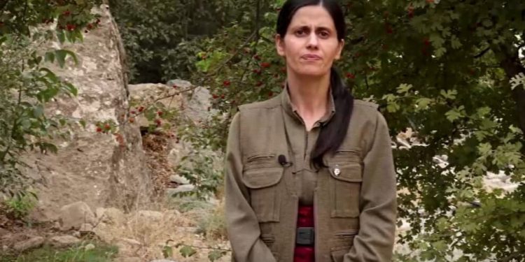 Komalên Ciwan Koordinasyonu: Ülkeye Dönün